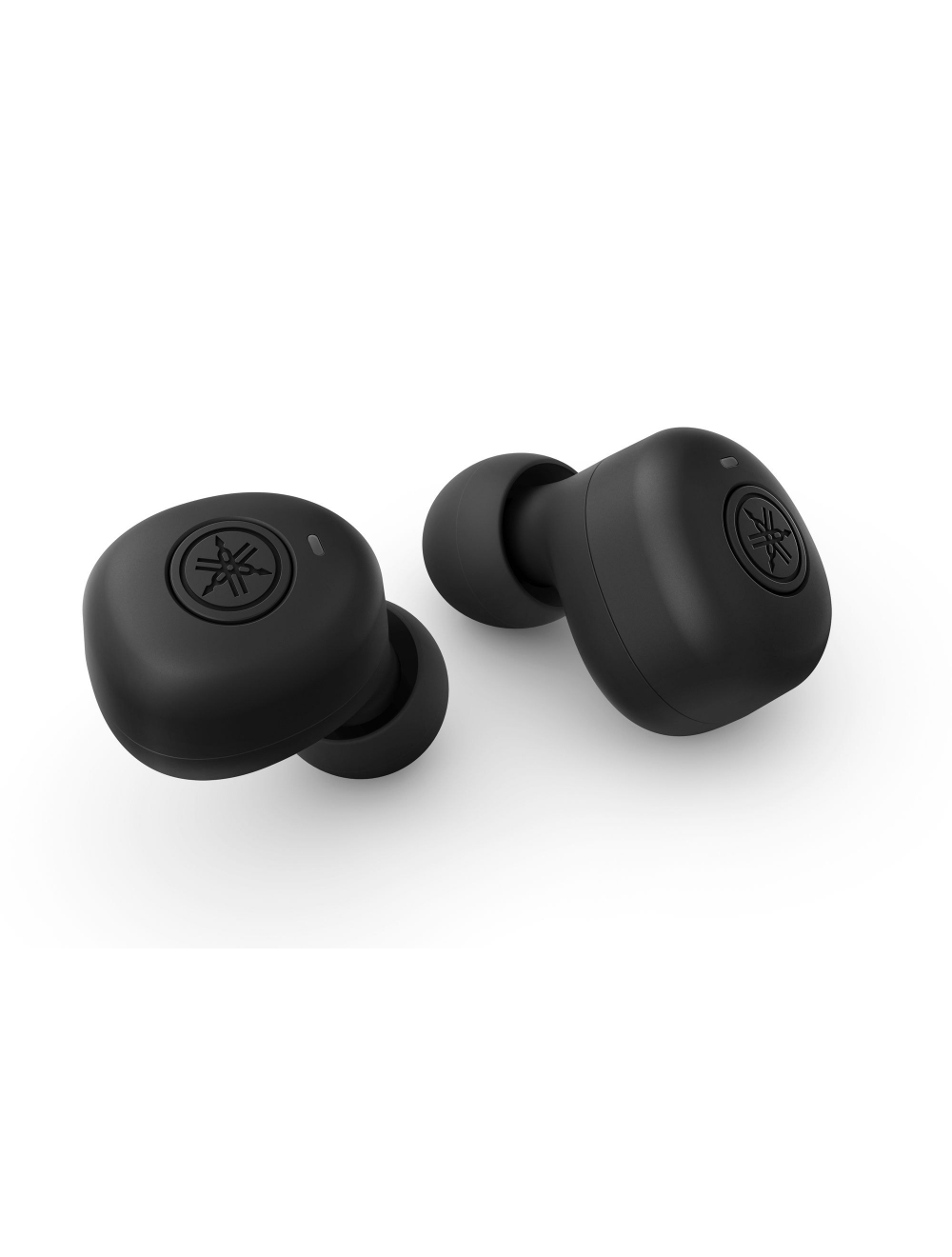 Earphones
